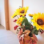 Rado Apartamento